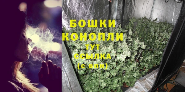 мдпв Михайлов