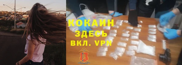 мдпв Михайлов