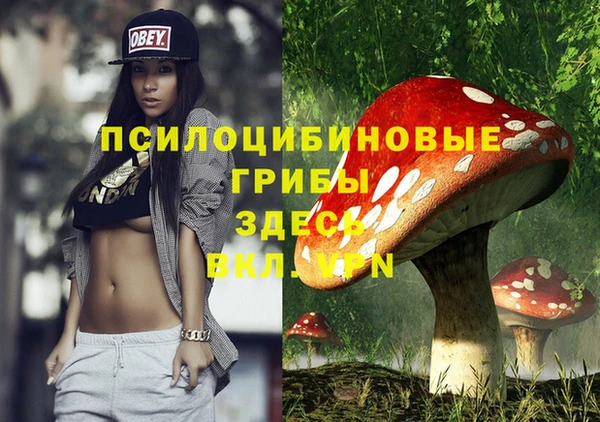 гидропоника Михайловка