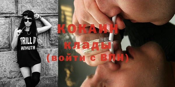 мдпв Михайлов
