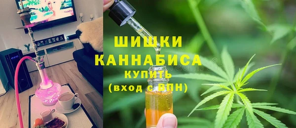 мдпв Михайлов